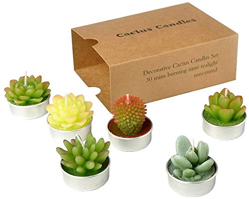 Lumanari SSleng Cactus Tealight, Lumanari delicate de cactus suculente lucrate manual (perfecte pentru petrecerea de aniversare, nunta, spa, decoratiuni interioare (6 bucati la pachet)