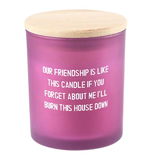 Prietenia mea este ca aceasta lumanare - Lumanari parfumate pentru femei - Lumanari amuzante Cadouri pentru femei (lavanda)